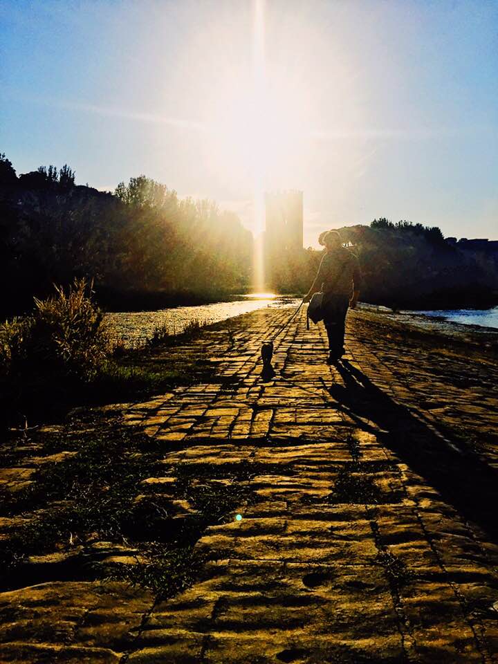 2018, 2019, Giacomo Ferraiuolo